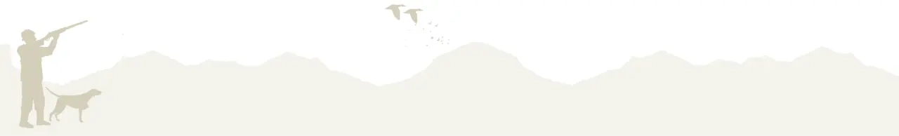 Your Logo